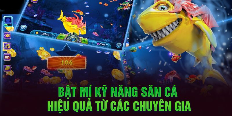 Bật mí kỹ năng săn cá hiệu quả từ các chuyên gia