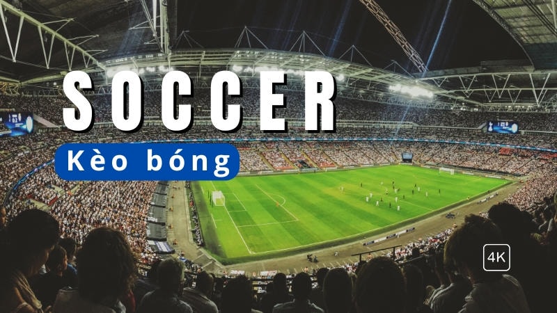  Cầu thủ thất vọng sau trận thua tại nhà cái Winvn.